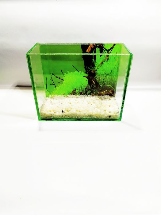 Аквариум мини новый 15 тысяч Akvarium mini 15 min yangi