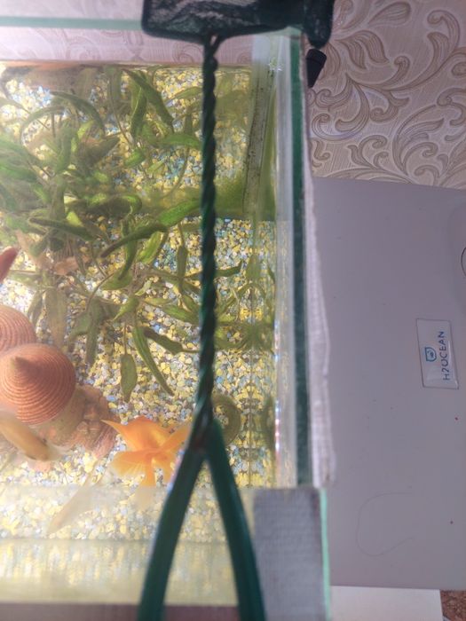 Продаётся аквариум с рыбками