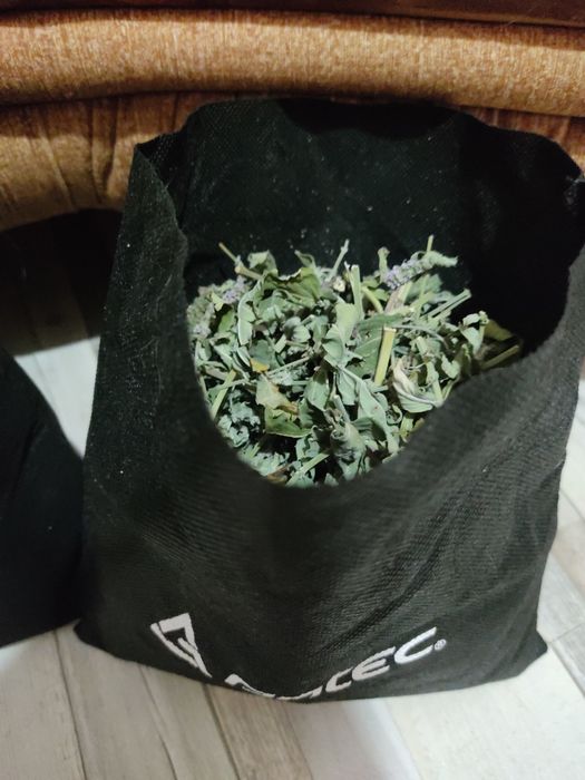 Продам сушеные травы