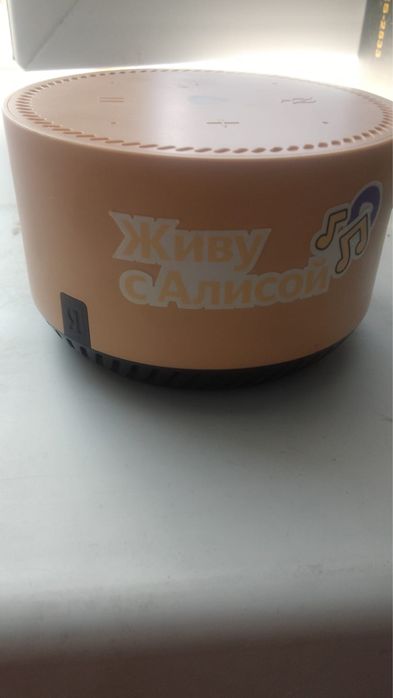 Алиса 15000 тенге