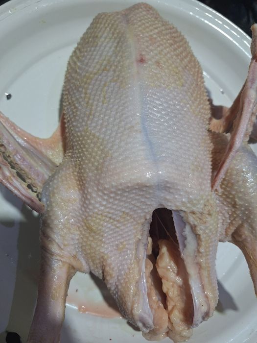 Продам тушки домашних гусей.