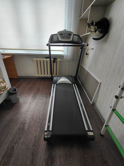 Беговая дорожка.