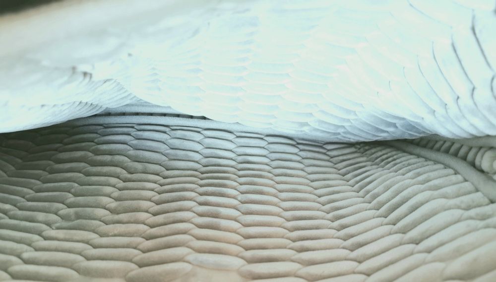 Чанта за лаптоп 15.6 инча