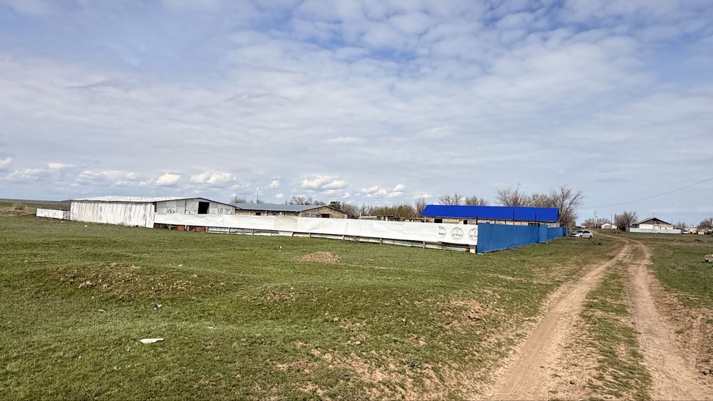 Продам хозяйство