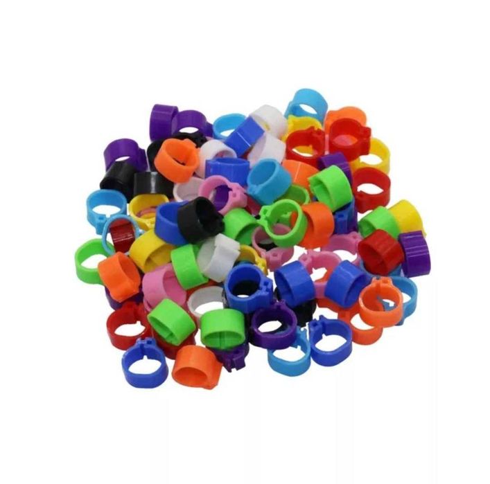 Inele , Cleme , Porumbei-Papagali