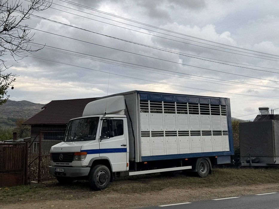Transport animale vii – Autorizat DSVSA