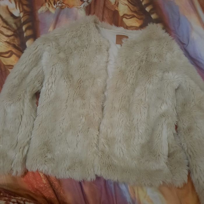 Shuba yangi firma next.