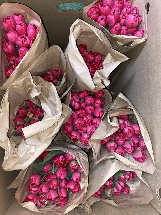 Тюльпаны 1шт 145тг