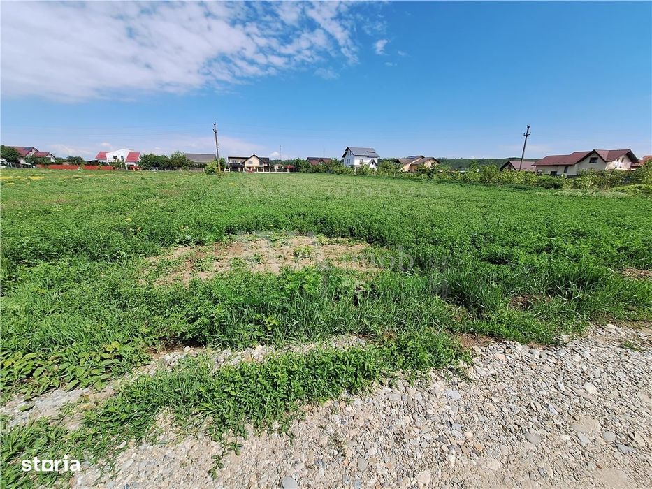 Teren intravilan 3177 mp, zona Serbanesti