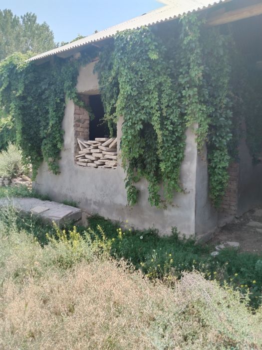 Свой. Продам Дом. СТАРЫЕ Сергели. 3ком 5,5 сотки.