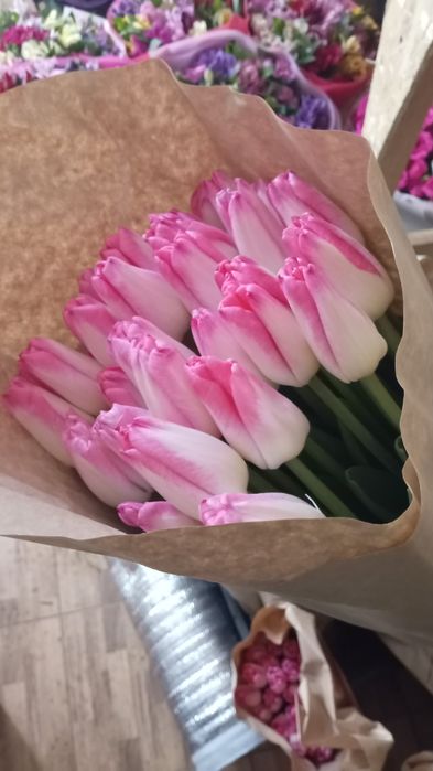 Тюльпаны розница