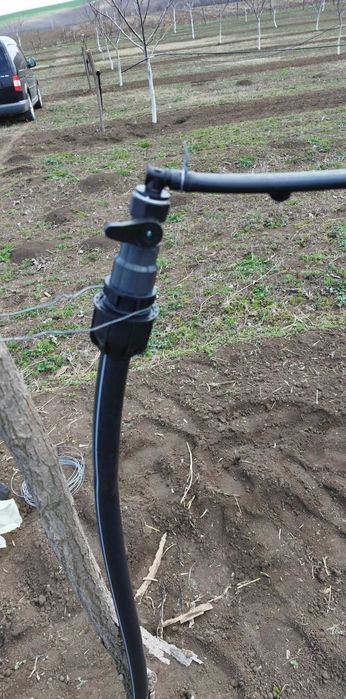 Създаване, поддържане и консултране на овощни градни област Шумен