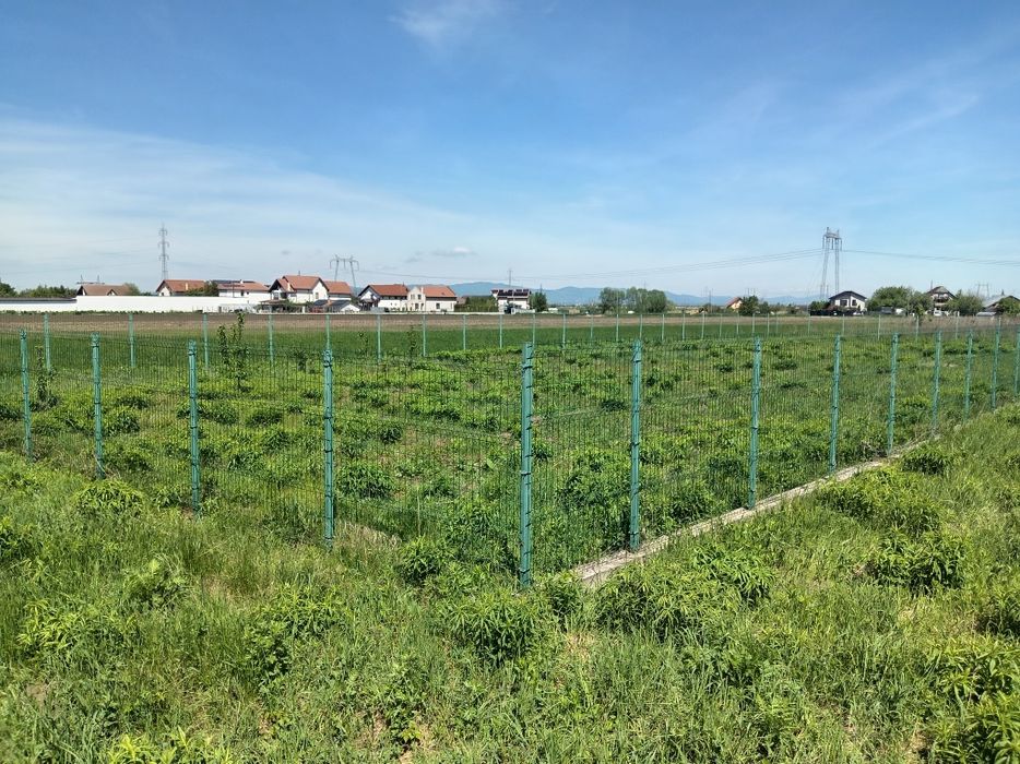 Teren intravilan, Stupini, Baciului,îngrădit. - Vedere 2