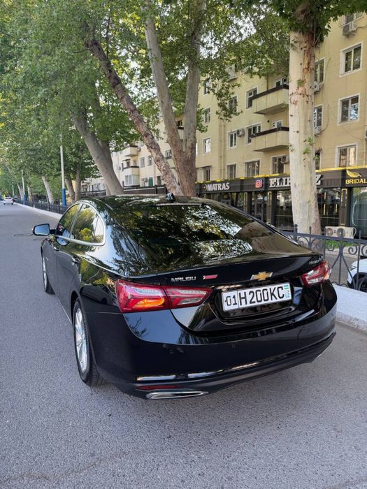 Malibu 2 Primier 2022