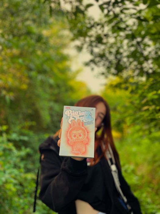 Мягкие игрушки Лабубу