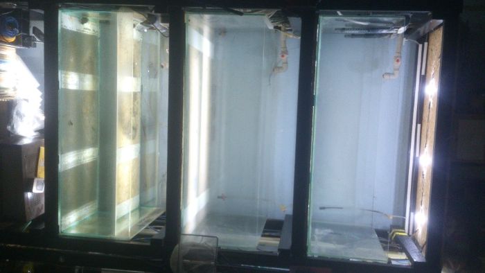 аквариум 135 литров