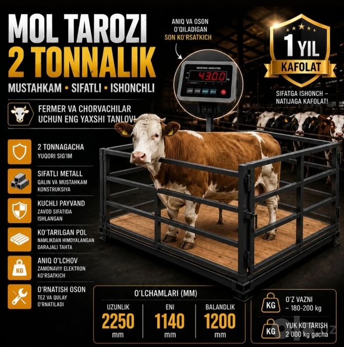 Chorva mol tarozi 2 tonnalik