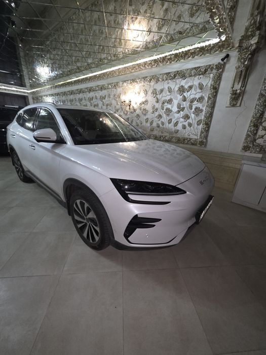 BYD  чемпион  2024  йил