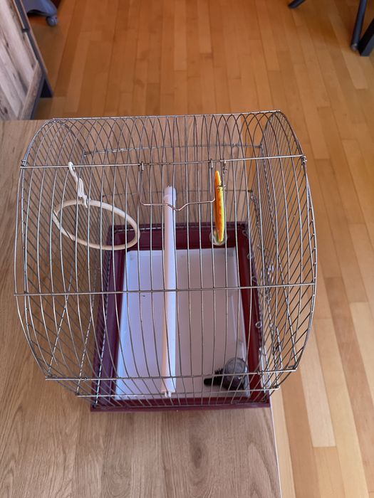Клетка за птици (папагали)