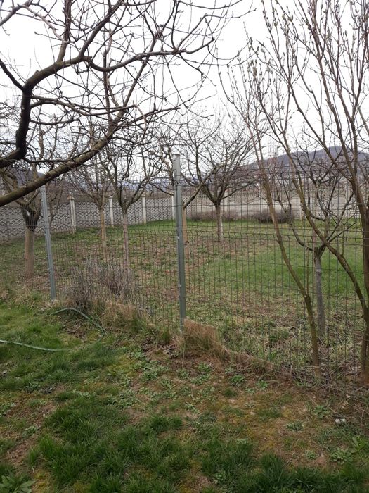 Vind casa în Mintia