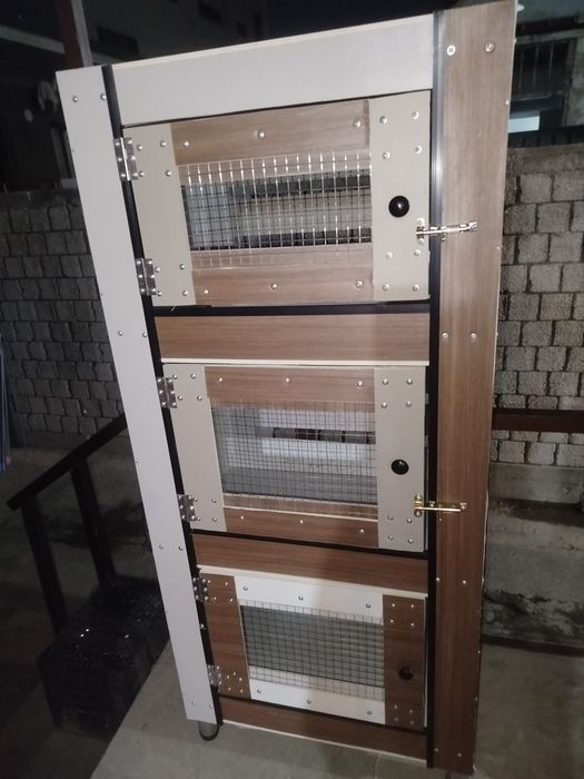 Plast dekordan qafas