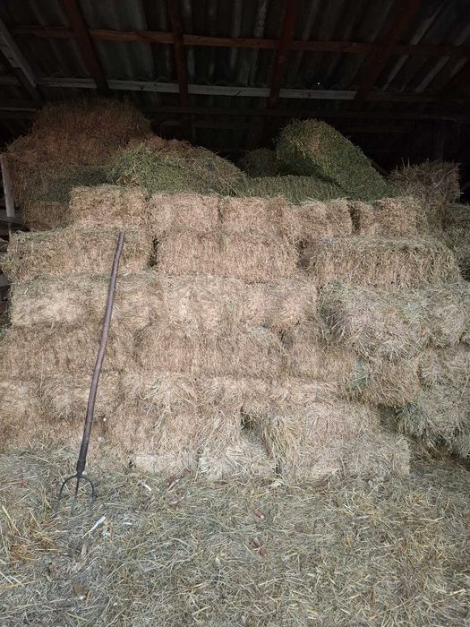 Vând baloti de lucerna si iarbă!