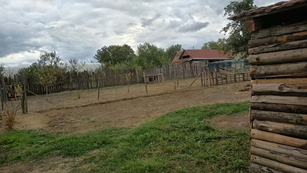 Casă de vânzare- Agrișu Mare