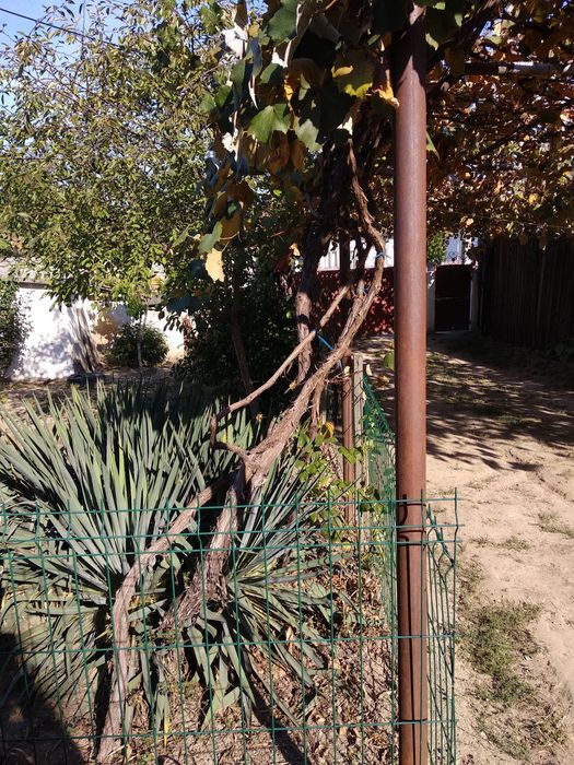 Casa Malu Mare, str Bechetului( principala) 729 mp!