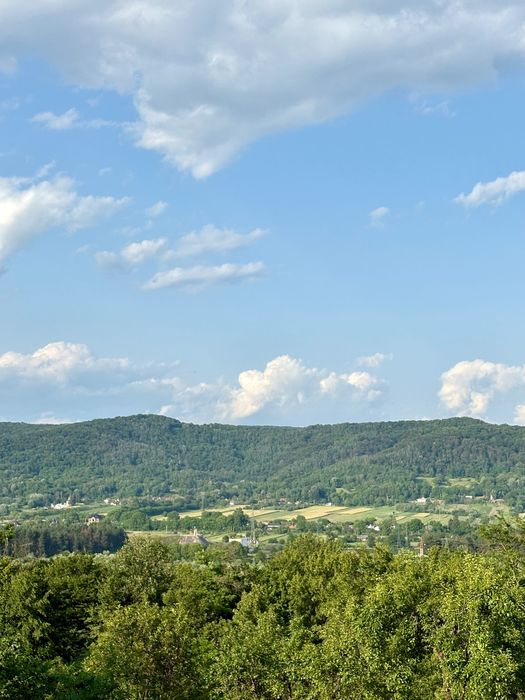 Vând teren intravilan în zona Valea Brazilor