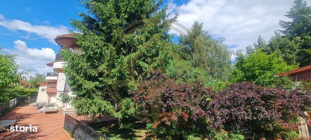 Dom00443 - vila la lac cu ponton si piscina snagov