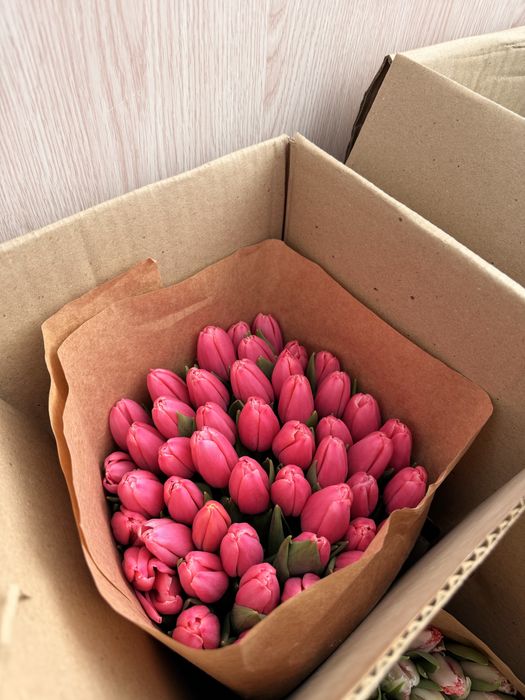 Премиум тюльпаны