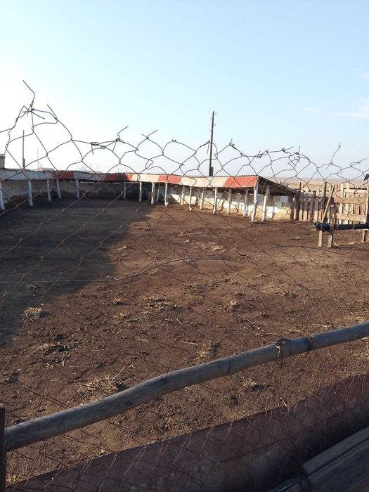 ЗУДЛИК БИЛАН фермер хўжалиги сотилади!