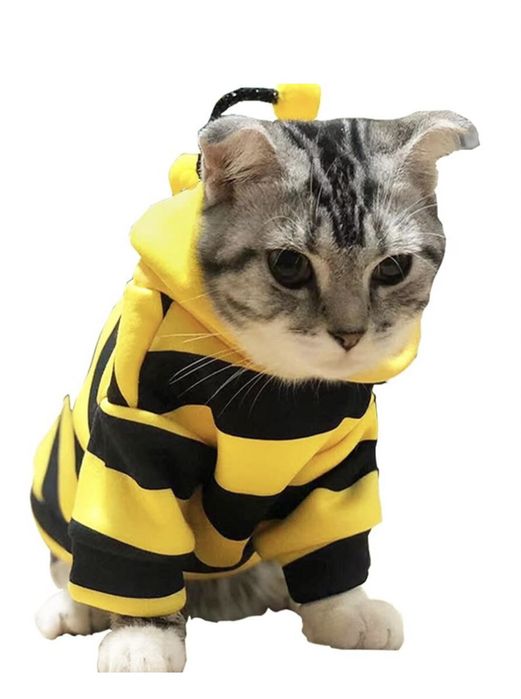 Costum in forma de albine pentru pisici si catei