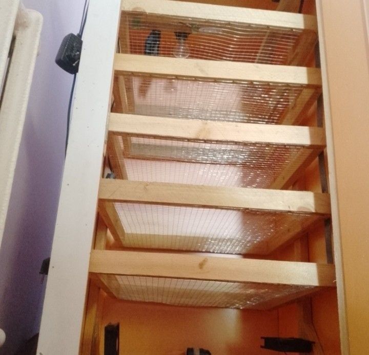 Inkubator sotiladi