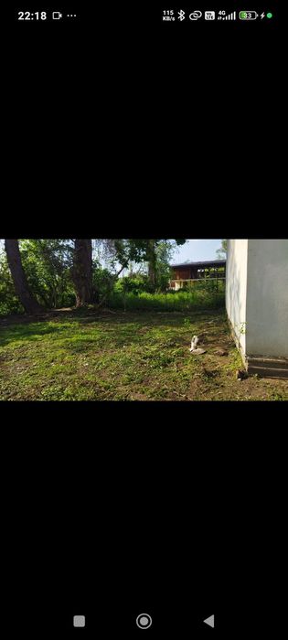 CAsa P+M  de vanzare