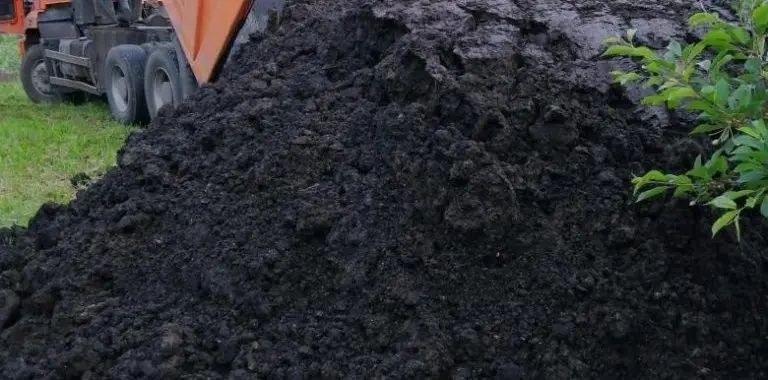 Қара топырақ,ЧЕРНОЗЕМ