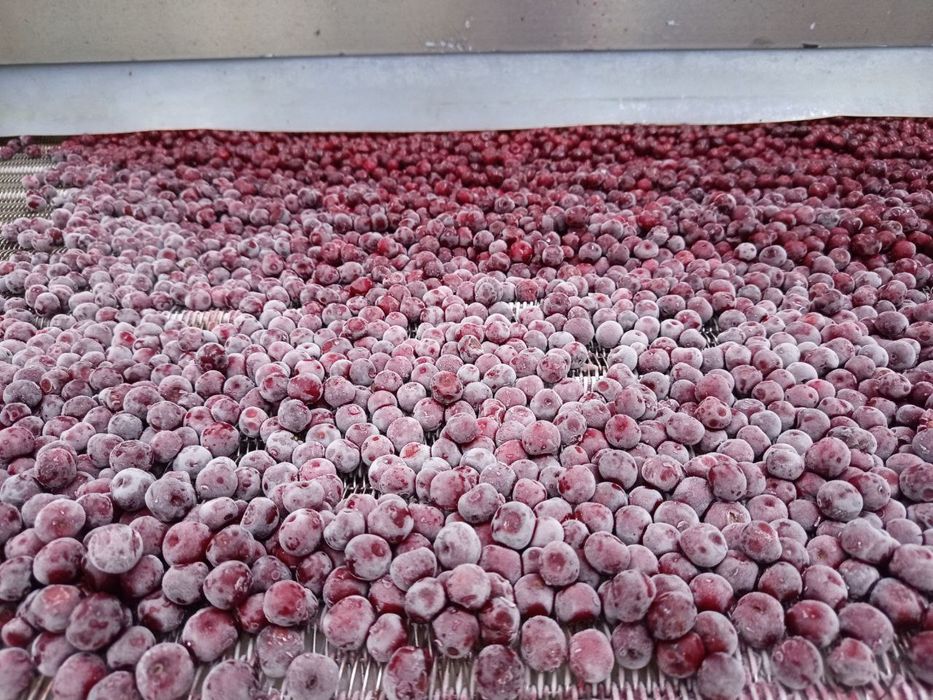 Доставка бесплатно Олча (вишня) Компот Кампот учун акция доставка теки