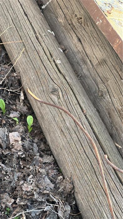 Столб деревянный