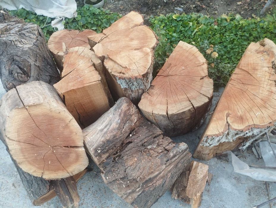 Утин сотилади урик ва енгок дарахтлариники