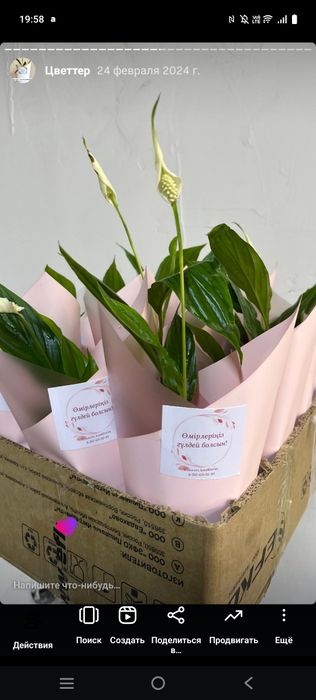 Цветы на подарок тойбастар