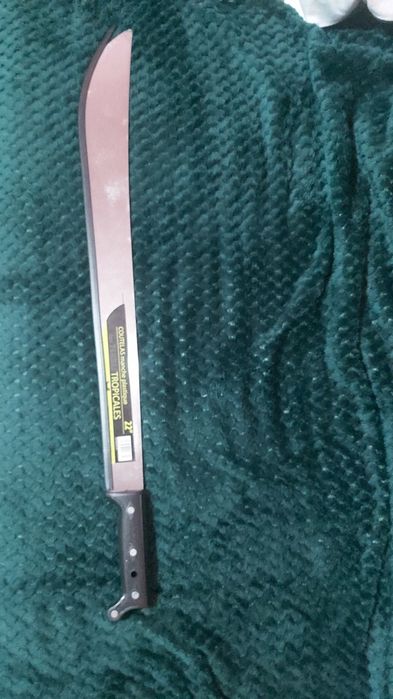 Macetă cu lama de 22cm.