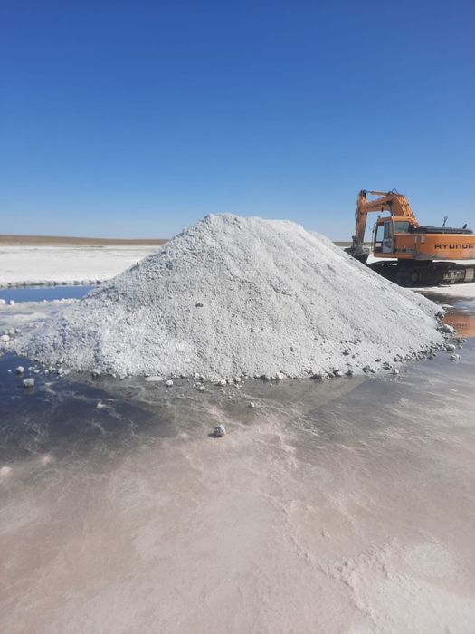 Соль техническая