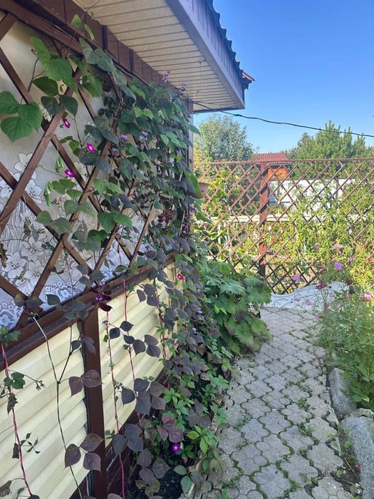 Продам дачу ПЕСТРОЕ