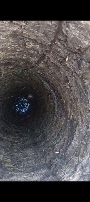 Curatit fantana fântâni puțuri