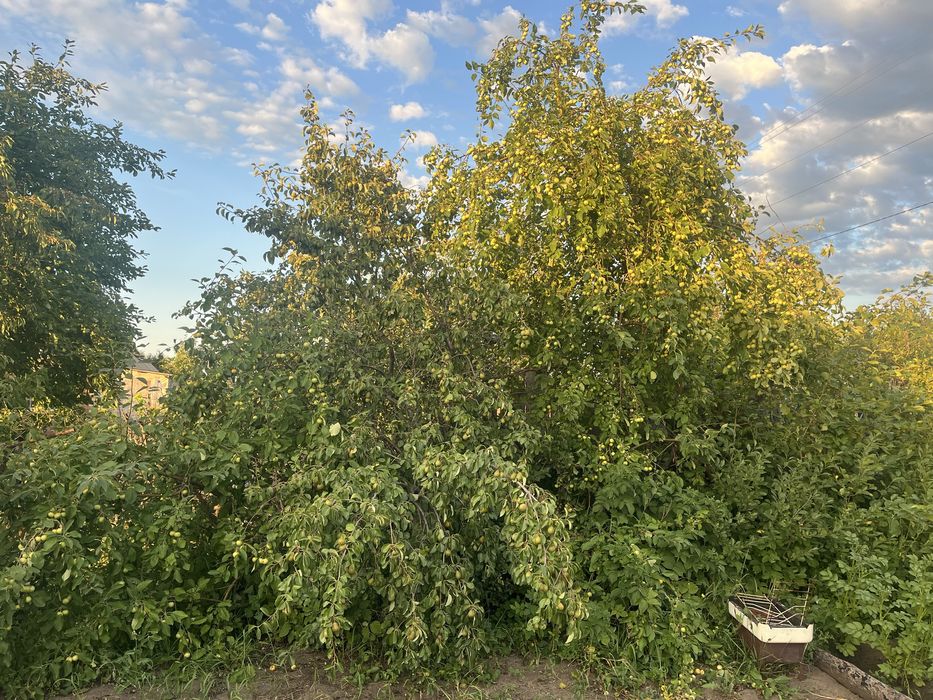 Продам дачу 6 общ 17 дачи