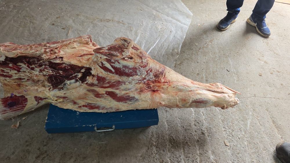 Продам говяжий задки