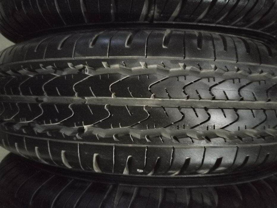 Баллон дамасники родной