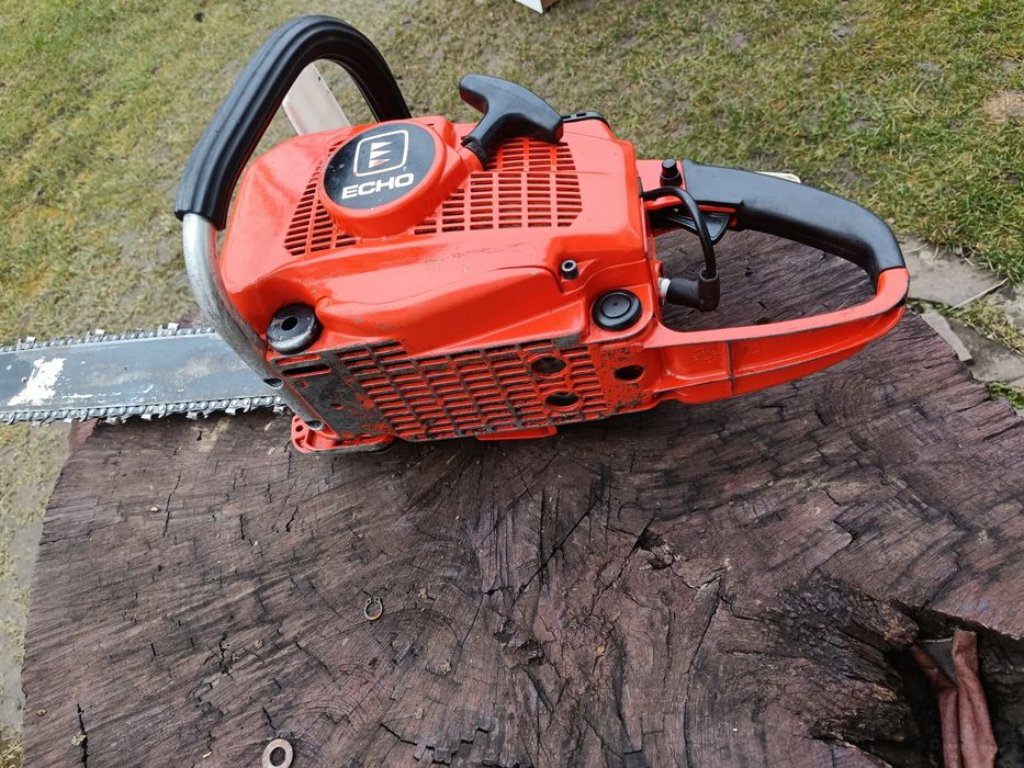 Drujba profesionala Echo