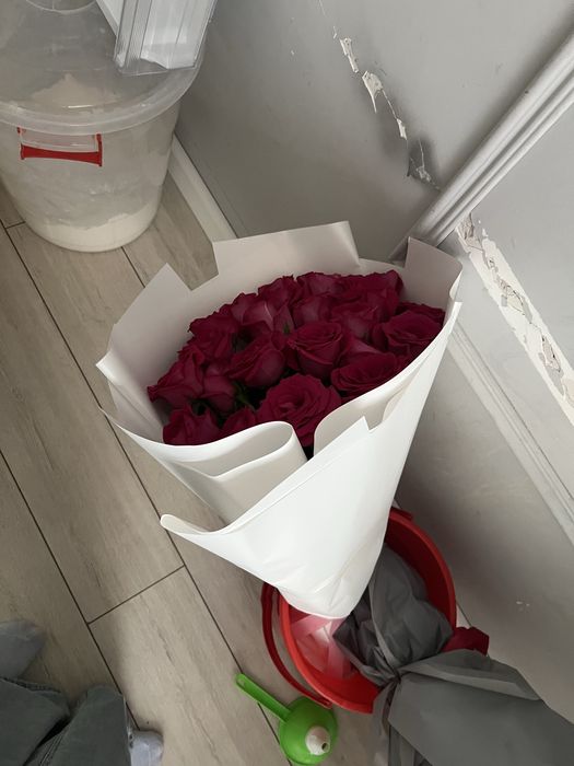Срочно продам Голландскую розу