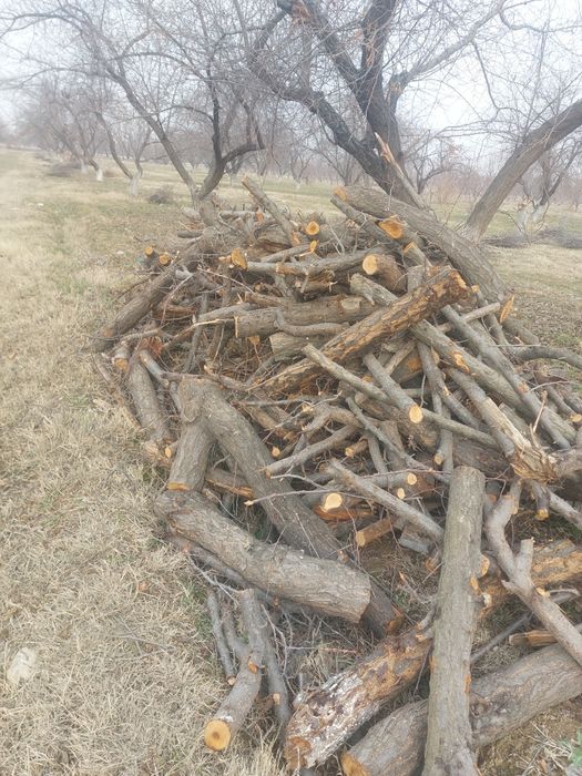 Otin sotiladi fargona